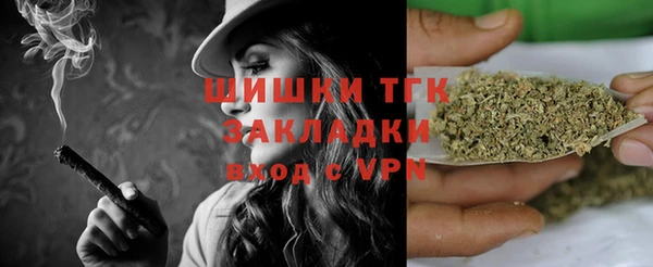 стаф Арсеньев