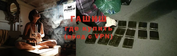 стаф Арсеньев