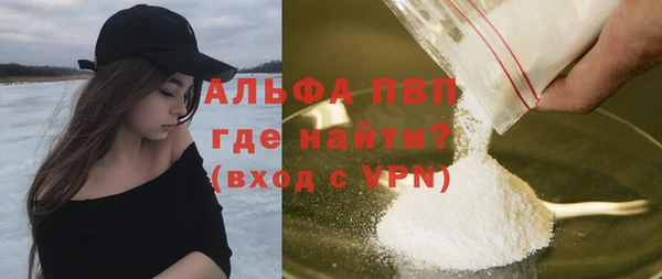 стаф Арсеньев