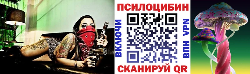 Псилоцибиновые грибы Magic Shrooms продажа наркотиков кракен вход Кизляр